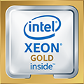 a gold xeon processor